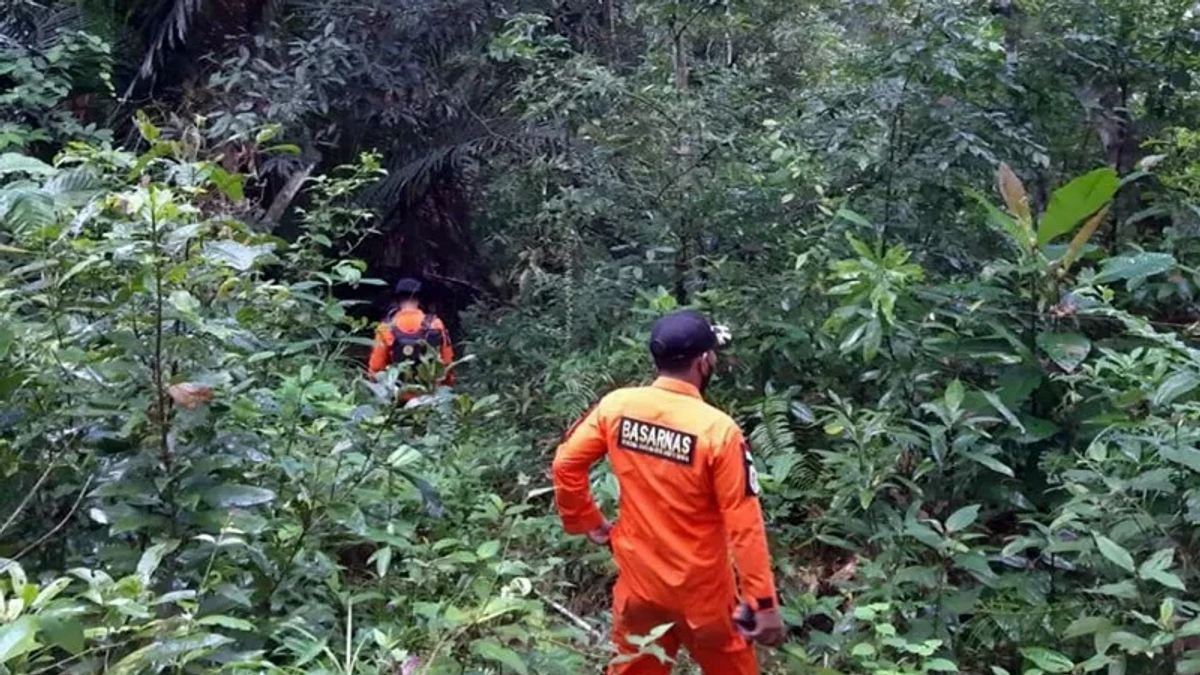コンセルの行方不明の庭で遊ぶのに夢中になっている少年、バサルナスケンダリは34キロ離れた捜索犯罪現場を取ります