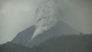 Gunung Lewotobi Laki-laki Erupsi 12 Kali, Muntahkan Abu Capai 1.500 Meter