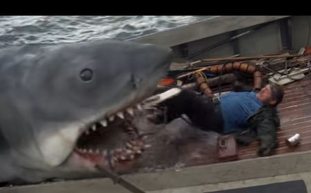 Sukses Film Jaws Berpengaruh  Buruk Terhadap Reputasi Ikan Hiu, Apa Alasannya?