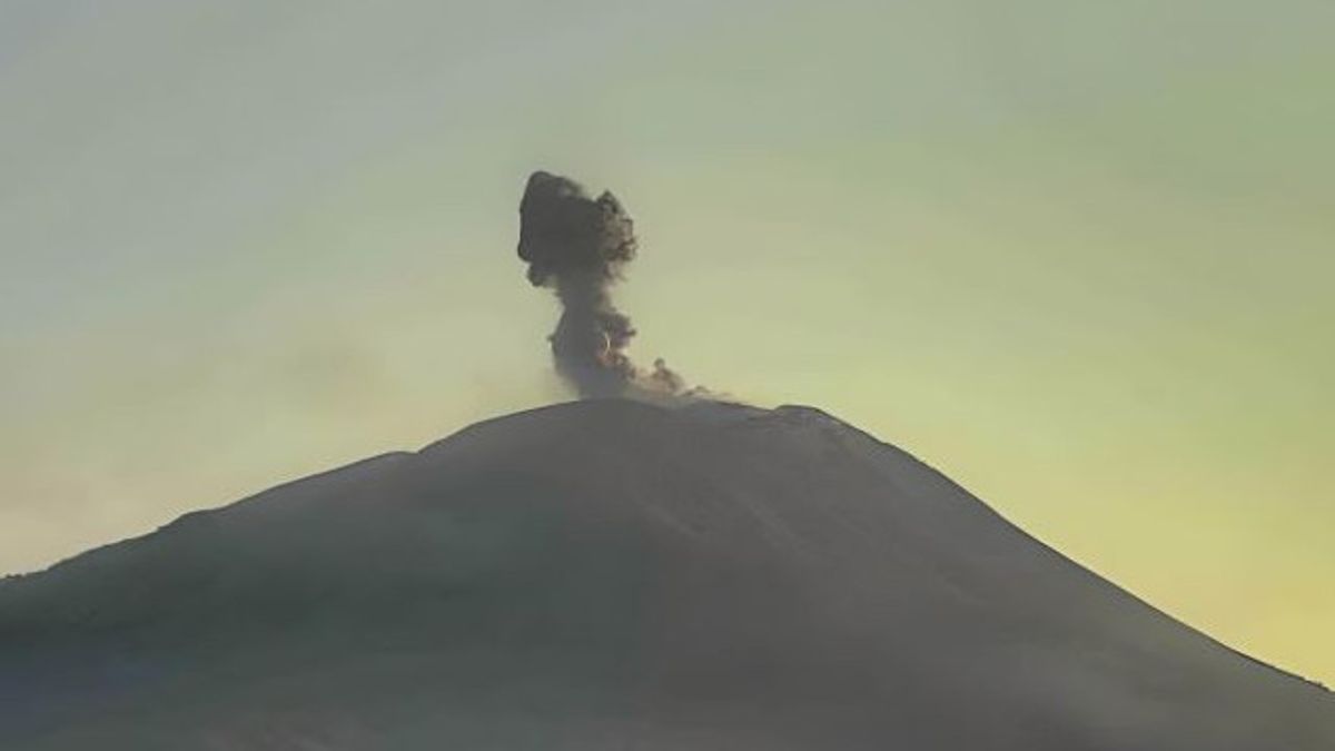 Mount Ili Lewotolok NTT Erupted Ash 500 Meters High, Residents Asked to Use Masks