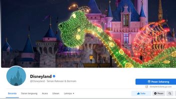 Akun Instagram dan Facebook Milik Disneyland Resort Diretas, Muncul Posting Tak Senonoh dan Rasis