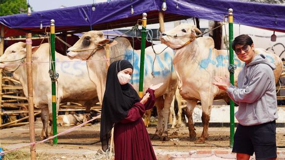 Lesti Kejora And Rizky Billar Sacrificial Cows Come Out Of Tears, Warganet: Crying Happy