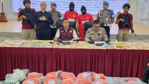 Karena Kecelakaan di Tol Tegal, 2 Kurir yang Bawa Narkoba 12 Kg Ditangkap Polisi 