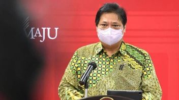 Coordinating Minister Airlangga Suddenly Talked About The Pandemic To Gandum In Singapore, What's Wrong?
