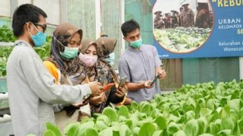 DPRD Surabaya Dorong Pertanian Perkotaan Melalui Smart Farming