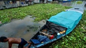   BWS Angkut Eceng Gondok yang Penuhi Sungai Martapura