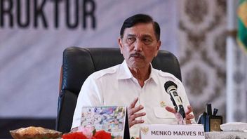 Luhut Jelaskan Beberapa Daerah di Jawa yang Masih Berstatus PPKM Level 4