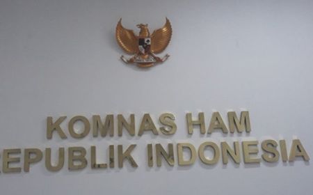 Komnas HAM Ungkap 113 Peristiwa HAM Terjadi di Papua Selama 2024