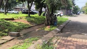 新しい運転手は運転を学び、パジェロはカクンで女性を殴り殺す