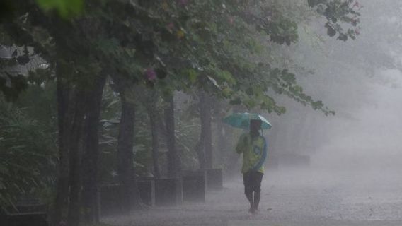 Cuaca Kamis 14 November: Waspadai Hujan dan Petir di Kota Besar Tanah Air