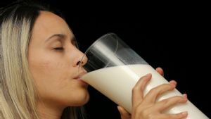 牛乳を飲むと脂肪分になれますか?これは知っておくべき事実です