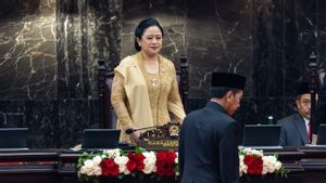 Kritik Demokrasi Hari ini, Pidato Puan Dinilai Wakili Kegelisahan Publik