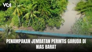 Penampakan Jembatan Perintis Garuda di Nias Barat, Pangkas Jarak Tempuh Mobilitas Warga