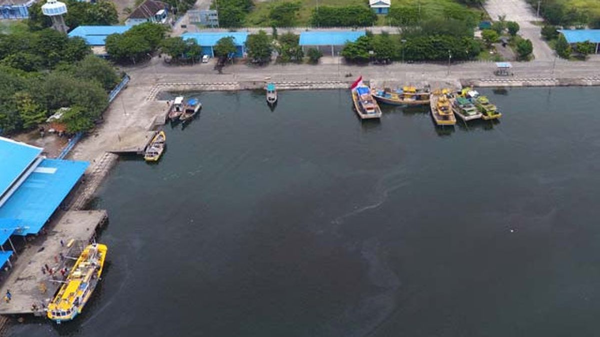 Bakal Jadi Sentra Ekonomi Perikanan, Begini Sejarah Pelabuhan Perikanan Mayangan Probolinggo