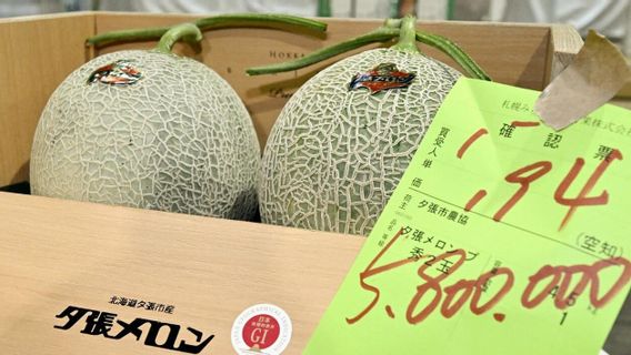 Wow, Dua Melon Hokkaido Laku Hampir Rp1 Miliar di Jepang