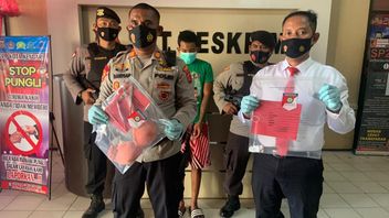 Wearing A Bra As A Mask, Thief In Elite Citraland Kendari Housing Who Persecutes Victims Taken