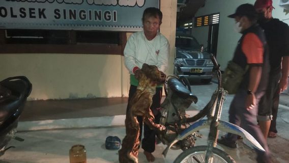 Penjualan Kulit Harimau dan Janin Rusa di Riau Berhasil Digagalkan