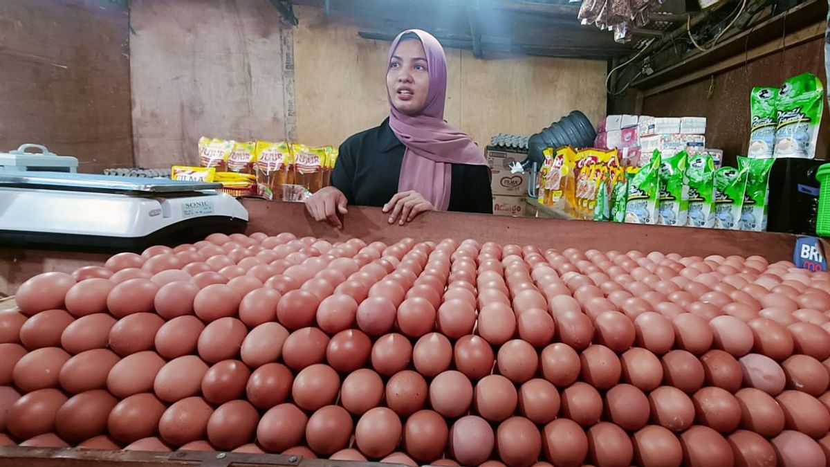 マラバール市場タンゲランの鶏卵トレーダーは不平を言い、価格の上昇は売上高が減少します