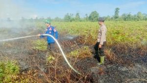 3 Hektare Lahan Gambut di Nagan Raya Aceh Terbakar