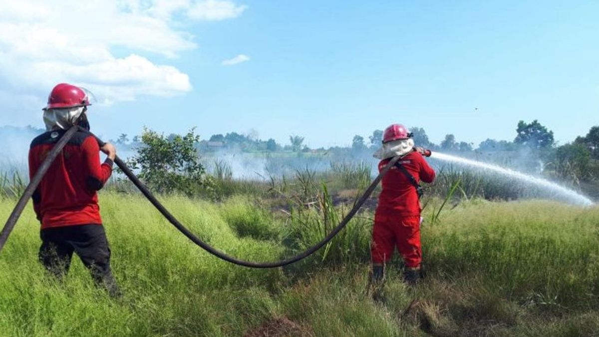 KLHK Deploys A Team Of Brigades To Handle Forest Fires On Mount Arjuno