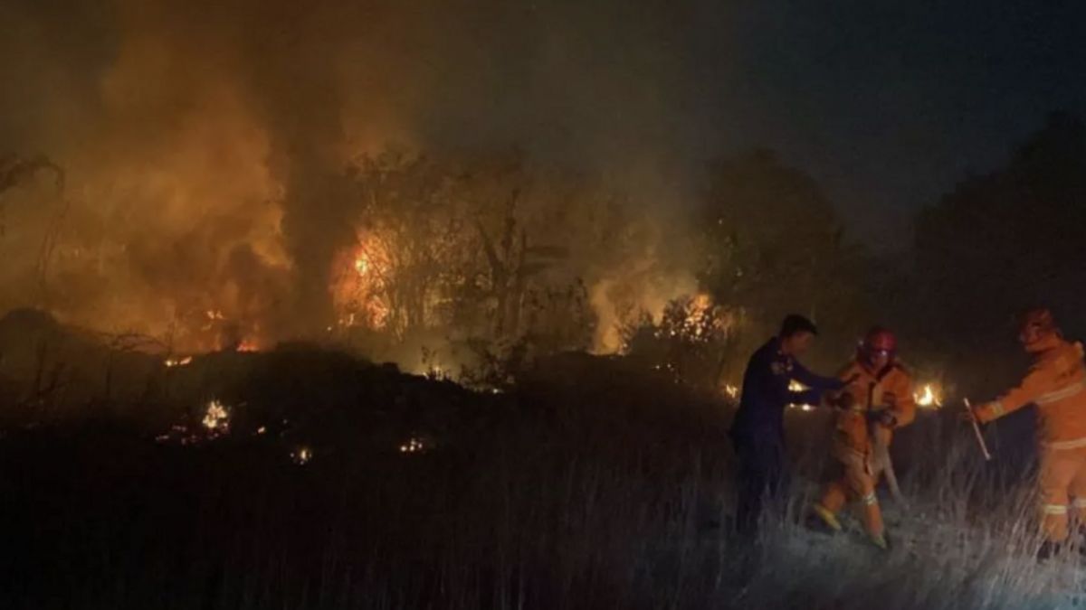 9月下旬,楠榜市森林和陆地火灾记录达数十公顷