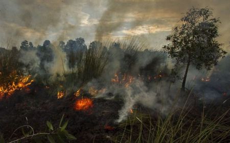 KLHK Kirim 96 Surat Peringatan Titik Panas Cegah Karhutla