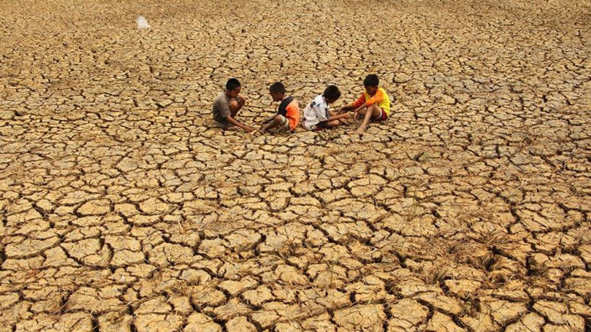 Pemerintah Siapkan 500 Ribu Hektare Lahan Antisipasi El Nino