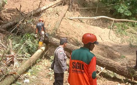 Penanganan Longsor Cilacap Timpa 33 Rumah Masih Dilakukan, Dapur Umum Dibangun