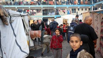 Le chef de l'OMS : Les enfants de Gaza évacués par les bombardements israéliens pourraient ne pas survivre à la faim