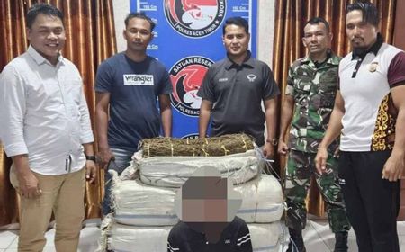 TNI Gagalkan Penyelundupan 75 Kilogram Ganja di Aceh Timur 