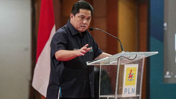 Erick Thohir: PLN adalah Jantung Indonesia, Pertumbuhan Ekonomi ke Depan Perlu Listrik