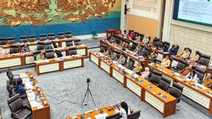 Rapat Bareng DPR, Ditjen IKFT Kemenperin Ungkap Empat Tantangan yang Dihadapi