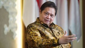 Golkar Apresiasi Keputusan MK Sistem Pemilu Terbuka, Ketum Airlangga: Keputusan Tepat