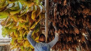 IHT Sumbang Rp216,9 Triliun ke Perekonomian RI, Serap 5,9 Juta Tenaga Kerja