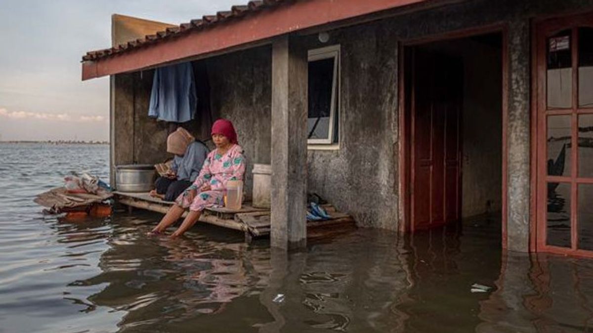 BMKG Sebut 6 Pulau di NTT Berpeluang Terjadi Banjir Rob