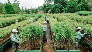 MIND ID Targetkan Penurunan Emisi Gas Rumah Kaca Sebesar 21,4 Persen hingga 2030