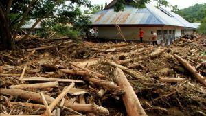 Gelondongan Kayu Terseret Banjir di Sumatera, Kemenhut Usut Sumbernya 