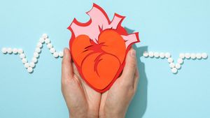 Connaissez la cardiomegalie ou le cœur en expansion, découvrez les 7 causes et les facteurs qui l’affecteront