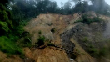 مواد الانهيار الأرضي 5-15 سم تغطي طريق بادانغ بوكيتنغي، BPBD Agam: يمكن تمريرها بواسطة المركبات