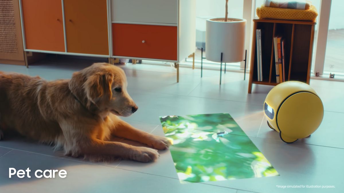 Ballie, Samsung's Mungil Robot To Monitor Pets And Homes