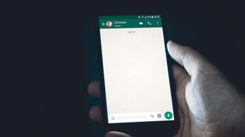 Why Can't WA Send A Message: Here Are 7 Solutions