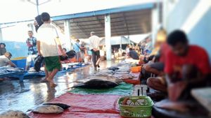 Harga Ikan di Kupang Naik, Cuaca Jadi Alasannya