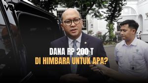 Dana Segar Rp 200 Triliun di Bank Himbara, Rosan Minta untuk Pembiayaan Sektor Produktif
