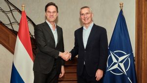 Mark Rutte, secrétaire général de l'OTAN : Une grande honneur, une responsabilité qui ne doit pas être prise en charge