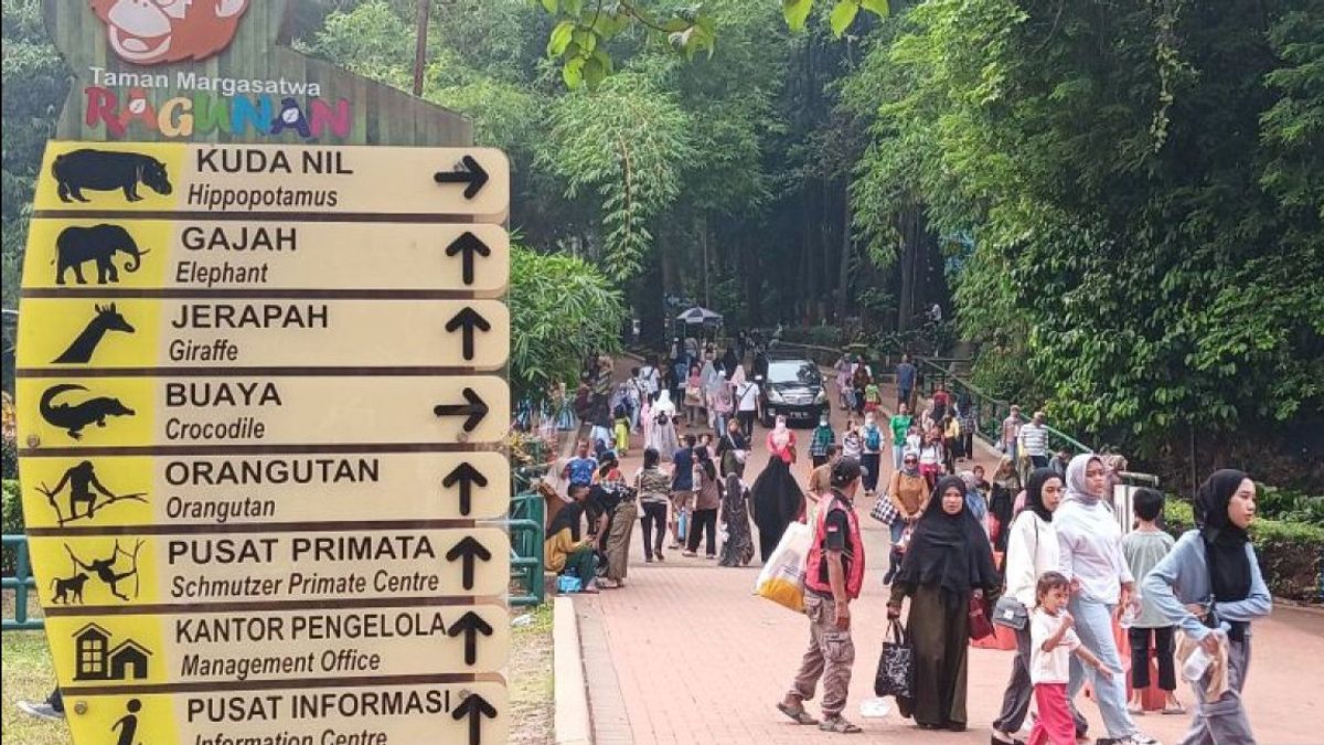 Ragunan Dibuka Malam Hari, Ini Satwa yang Boleh Dikunjungi