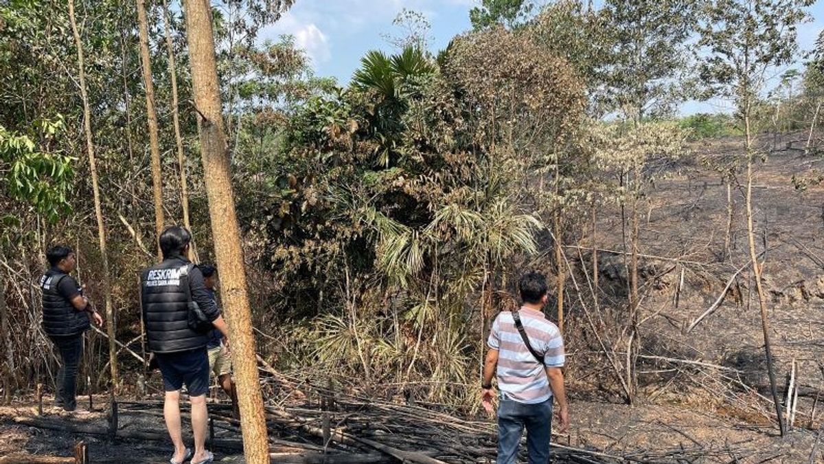 サロラングン・ジャンビの森を焼き払うアミヌディンは容疑者に指名された
