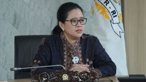 Duet Prabowo-Puan Dianggap Bisa Terwujud di Pilpres 2024