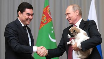 トルクメニスタン大統領は、国家の誇りの象徴として、アラバイ犬の形をした金の像を建てます