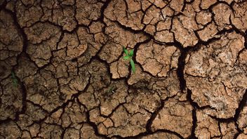 由于干旱,伊斯坦布尔水资源减少