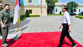 جوكوي إلى أوكرانيا، مويلدوكو: الرئيس يقدم الأدلة، يجب محاربة السلام، وليس فقط الانتظار